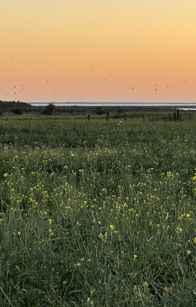 Coastal Land for sale, Bahia Blanca, Argentina